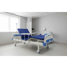 Cama Hospitalaria